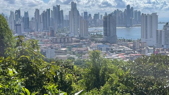 BarefootPanama Tours