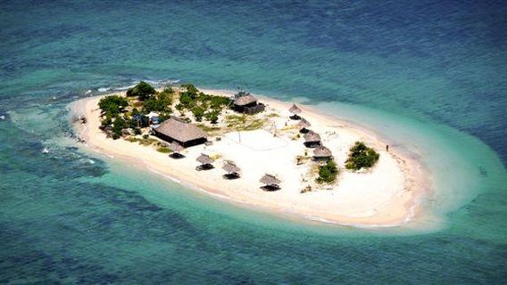 Whale's Tale Cruises Fiji