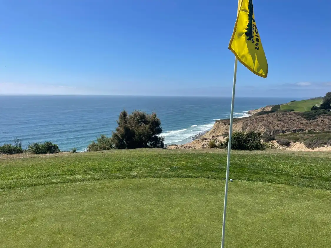 Hotels near Torrey Pines Golf Course