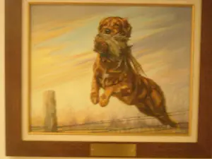National Bird Dog Museum
