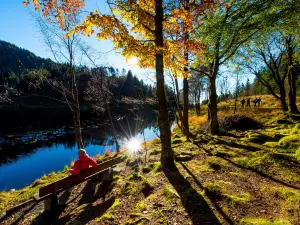 Popular Fall Viewing Attractions in Bergen