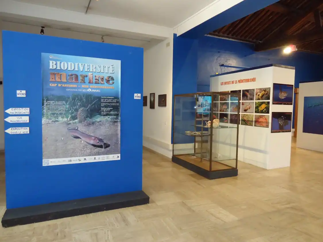 Các khách sạn gần Musee Napoleonien