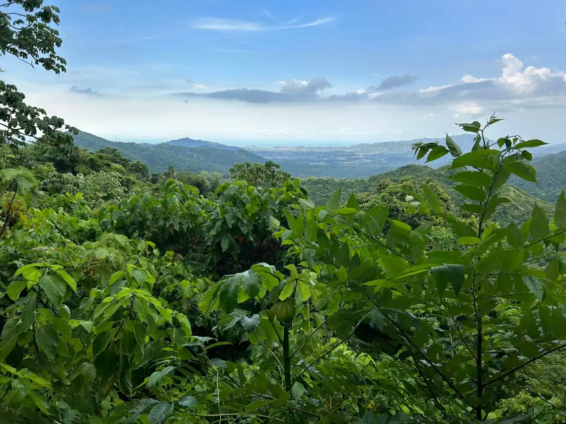 Hotels near Sierra Nevada de Santa Marta