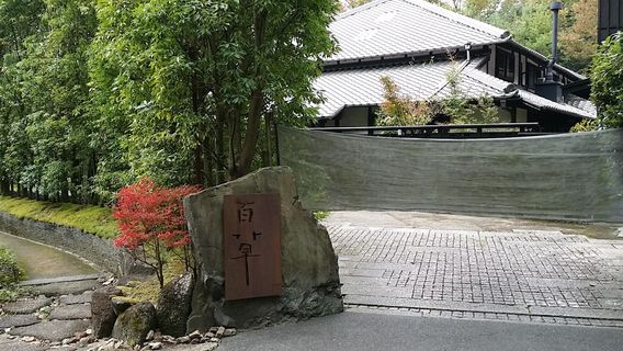 Tajimi