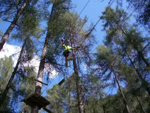 Parco avventura - Molina di Fiemme