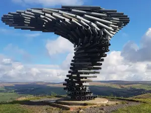 Singing Ringing Tree - Panopticon