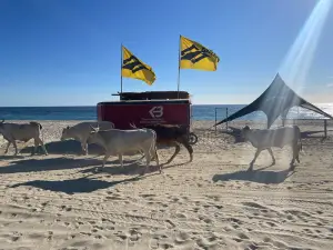 Kiteboarding Baja School