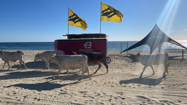 Kiteboarding Baja School