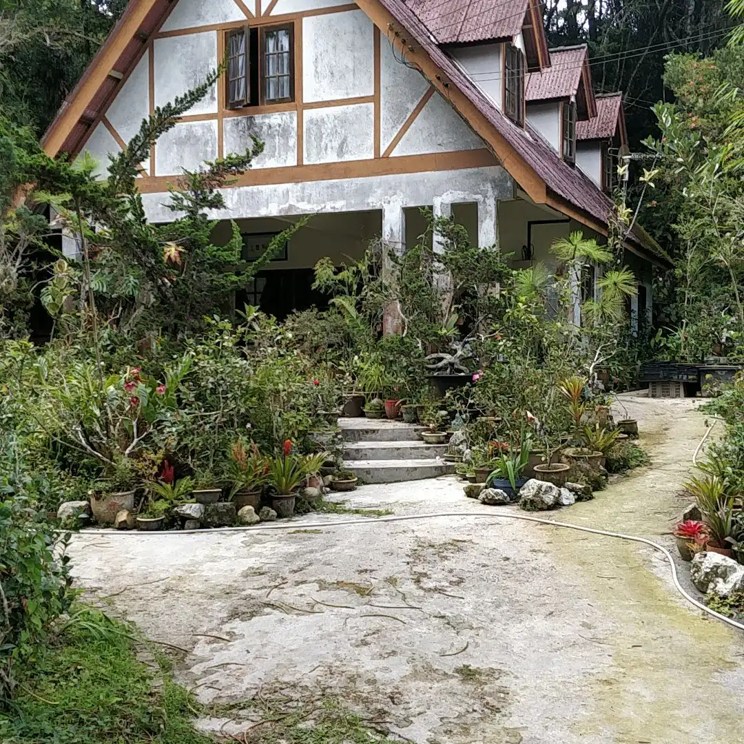 Hotels near Tan's Camellia Garden