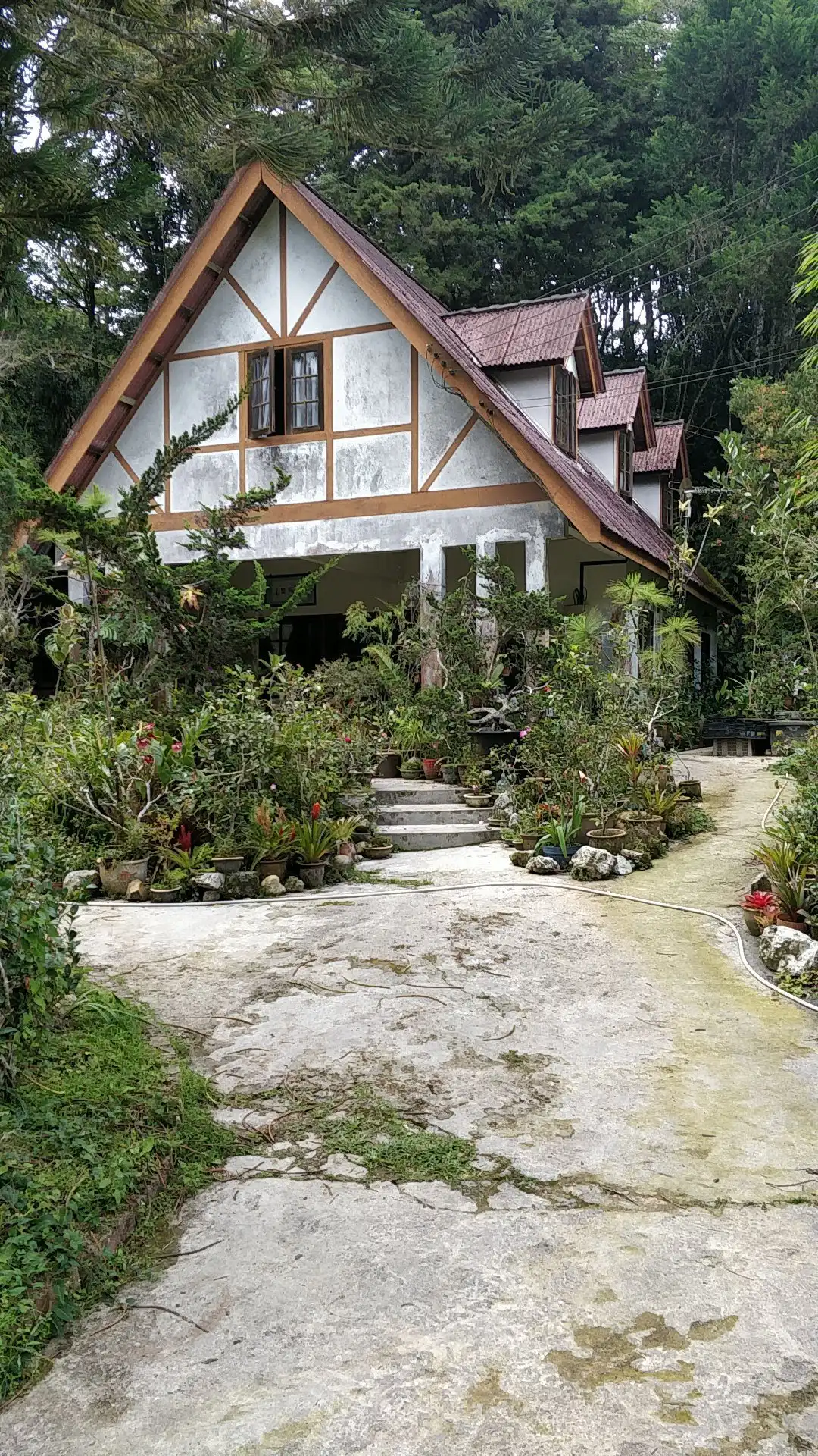 Hotels near Tan's Camellia Garden