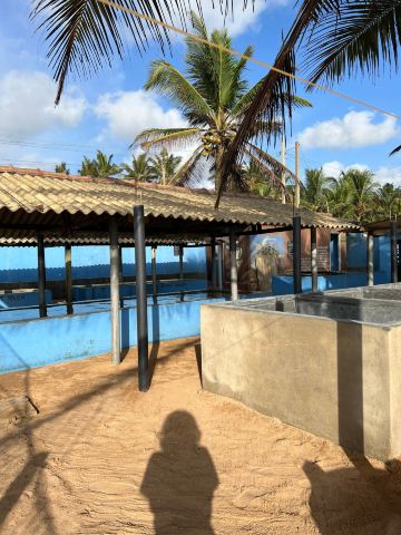 Kosgoda