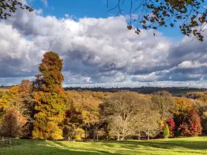 Nymans Gardens and House
