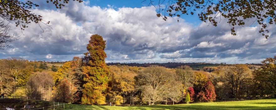 Nymans Gardens and House