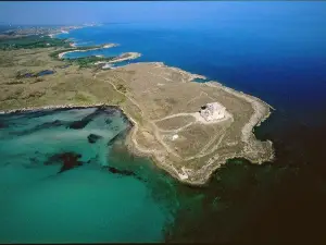 Torre Guaceto Marine Protected Area