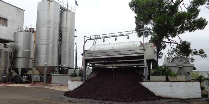Cantina Albea winery and museum