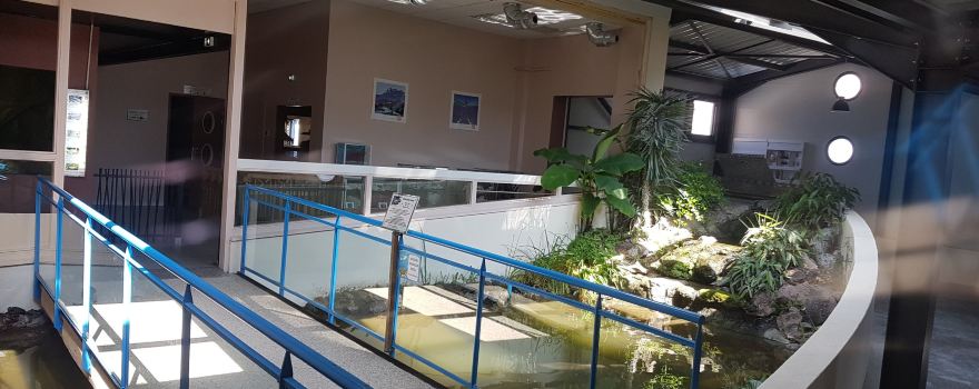 Aquarium des Tropiques