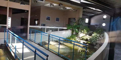 Aquarium des Tropiques