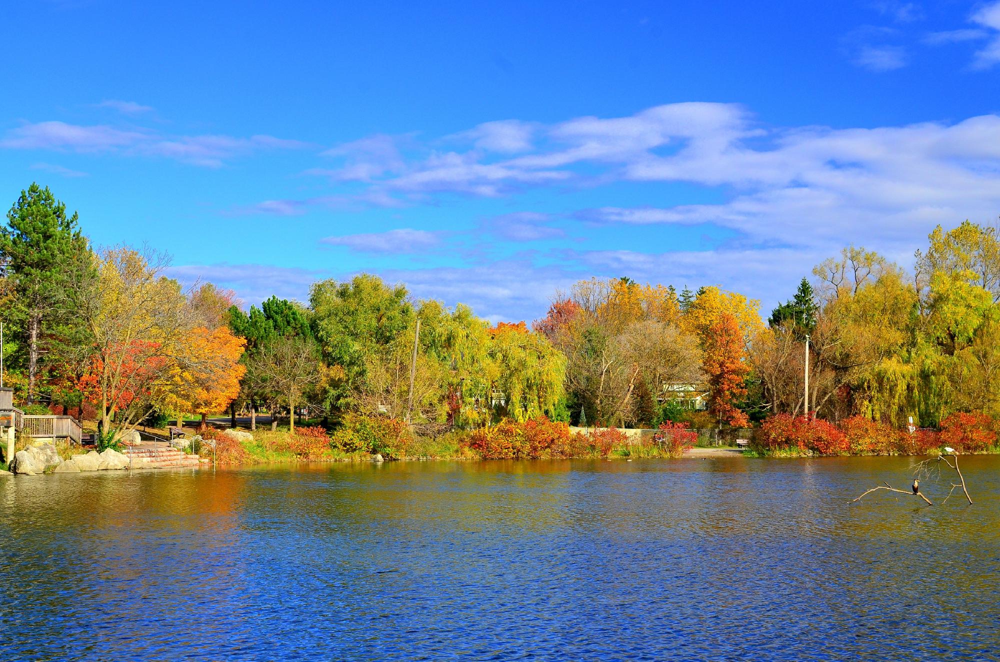 2025 Markham Travel Guide: Must-see attractions, popular food, hotels, transportation routes (updated in July)