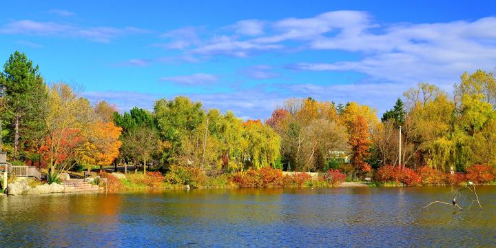 Toogood Pond Park