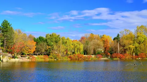 Markham travel destination