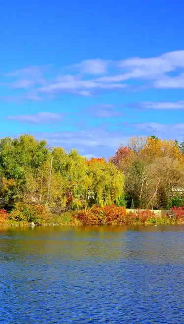 Hoteles cerca de CGI