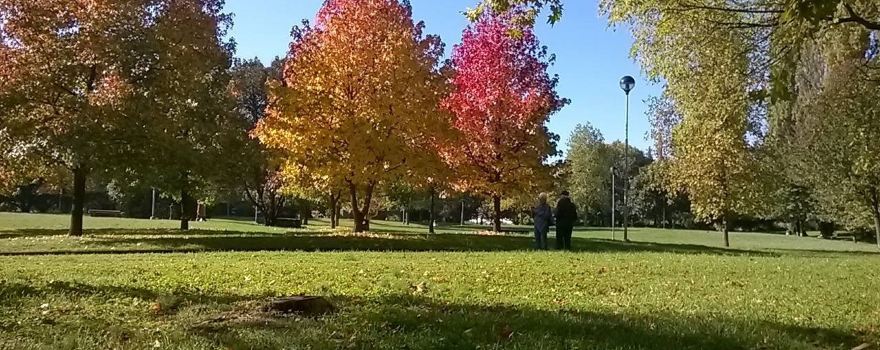 Bosco di Legnano (Parco Castello)