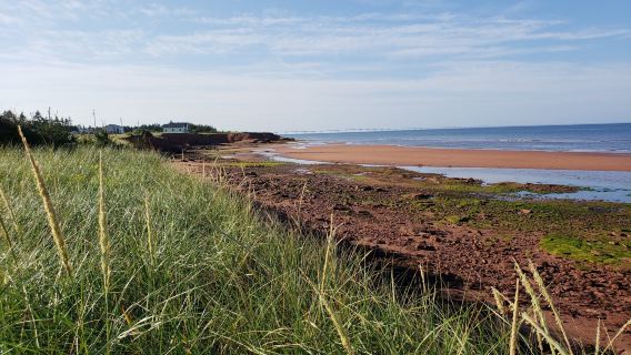 Chelton Beach Provincial Park