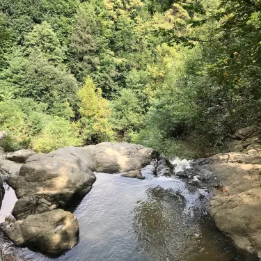 Yalova Kent Ormanı