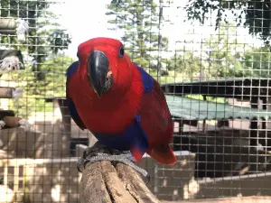 Pure Venom Reptile Park