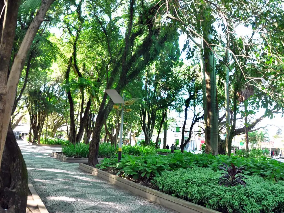 Hotels near Nereu Ramos Square