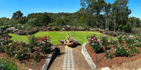 Patsy Durack's Rose Gardens