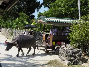 Taketomi Tourist Center