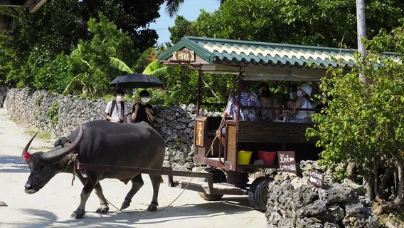 Taketomi Tourist Center