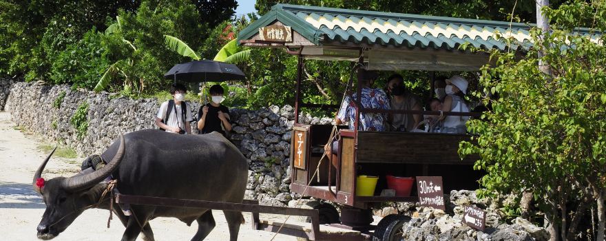 Taketomi Tourist Center