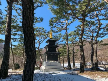 Jincheon-gun