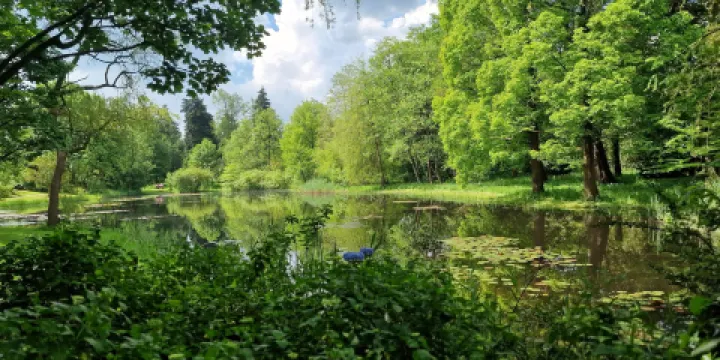 Von Gimborn Arboretum