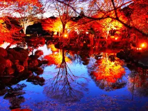 Sakurayama Park