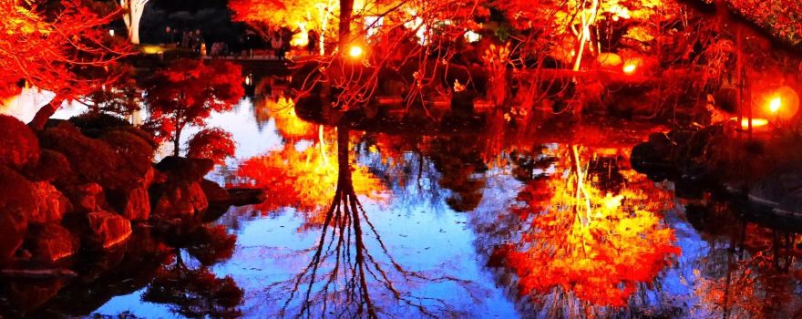 Sakurayama Park