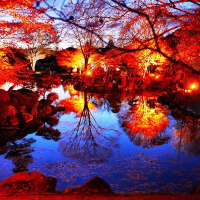 Sakurayama Park