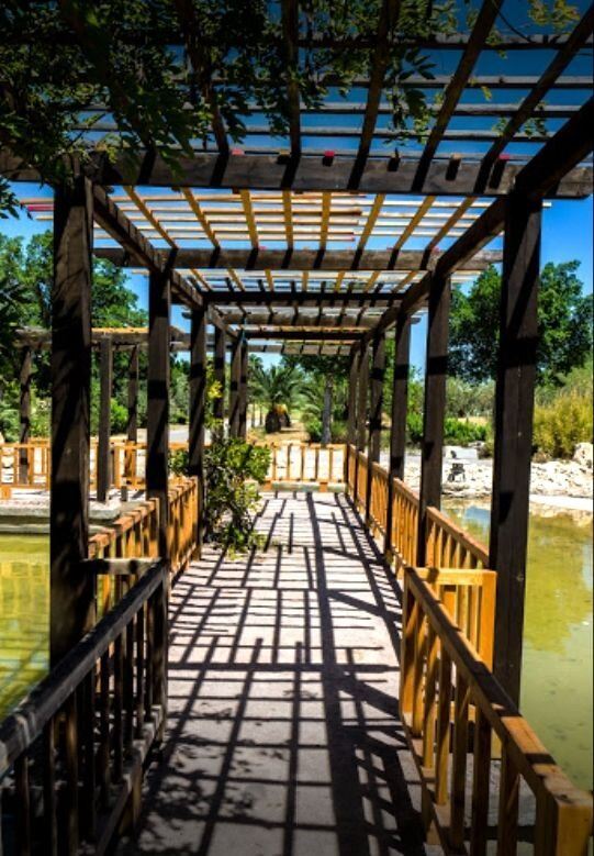 The Japanese Garden