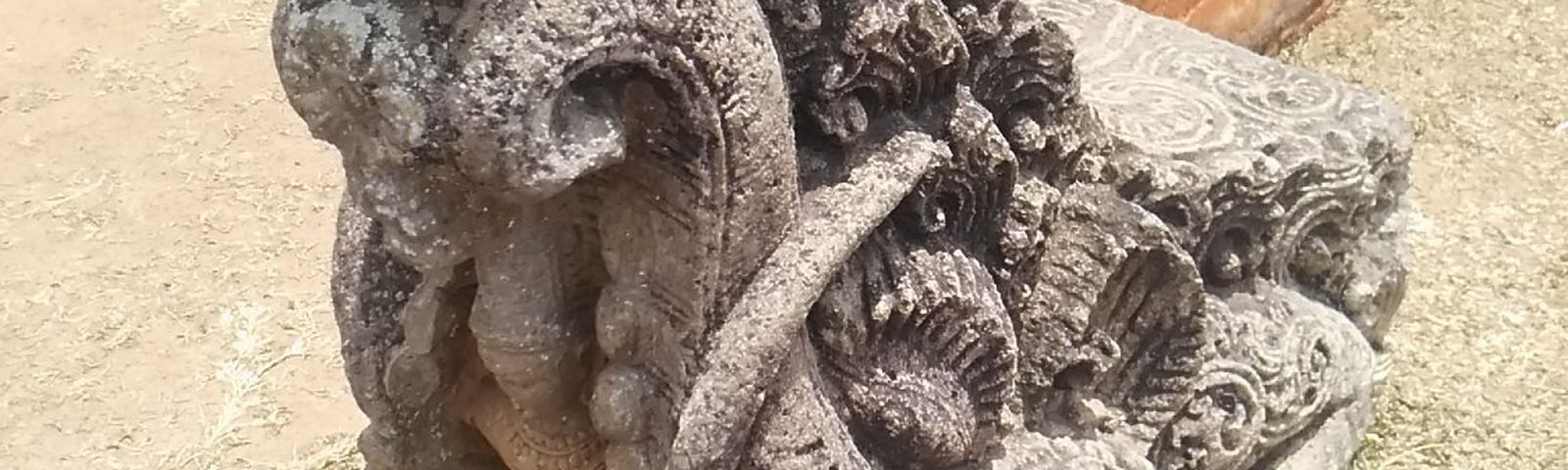 travel