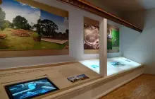 ศูนย์ประวัติศาสตร์พระราชวังจันทน์