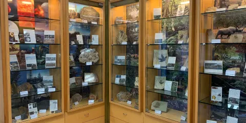 Museo Parco delle Kentie