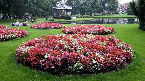 Apeldoorn