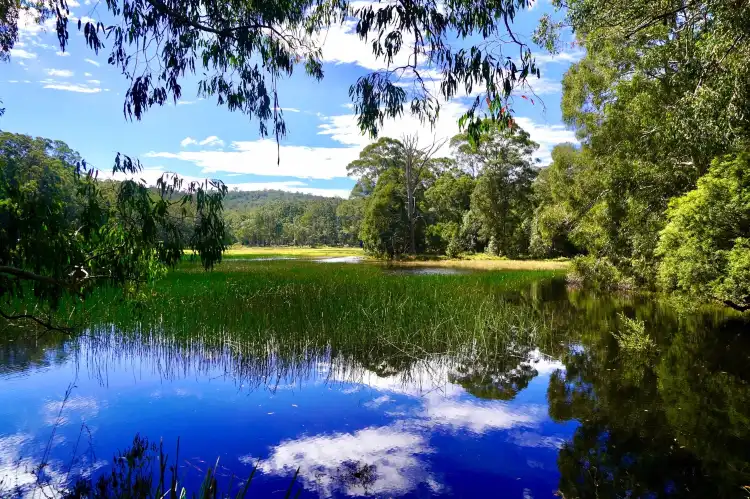 Walcha
