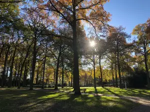 Stadswandelpark