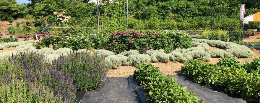 Okitama Park Herb Garden