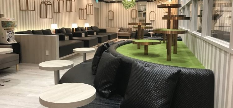 Cat Cafe MOCHA ARCHE Omiya