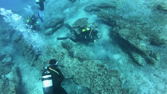 Fuerteventura Diving
