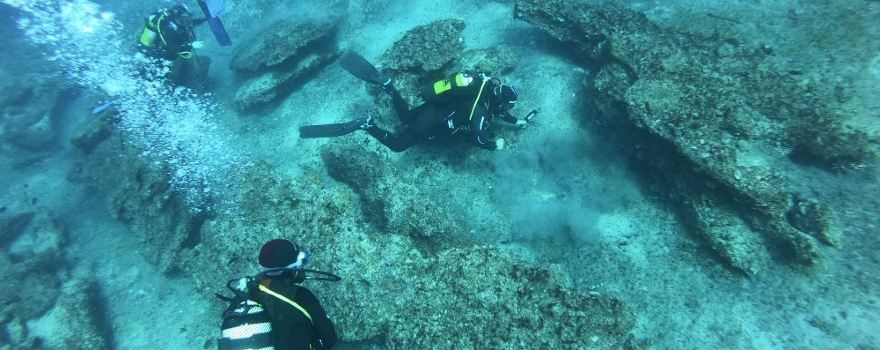 Fuerteventura Diving